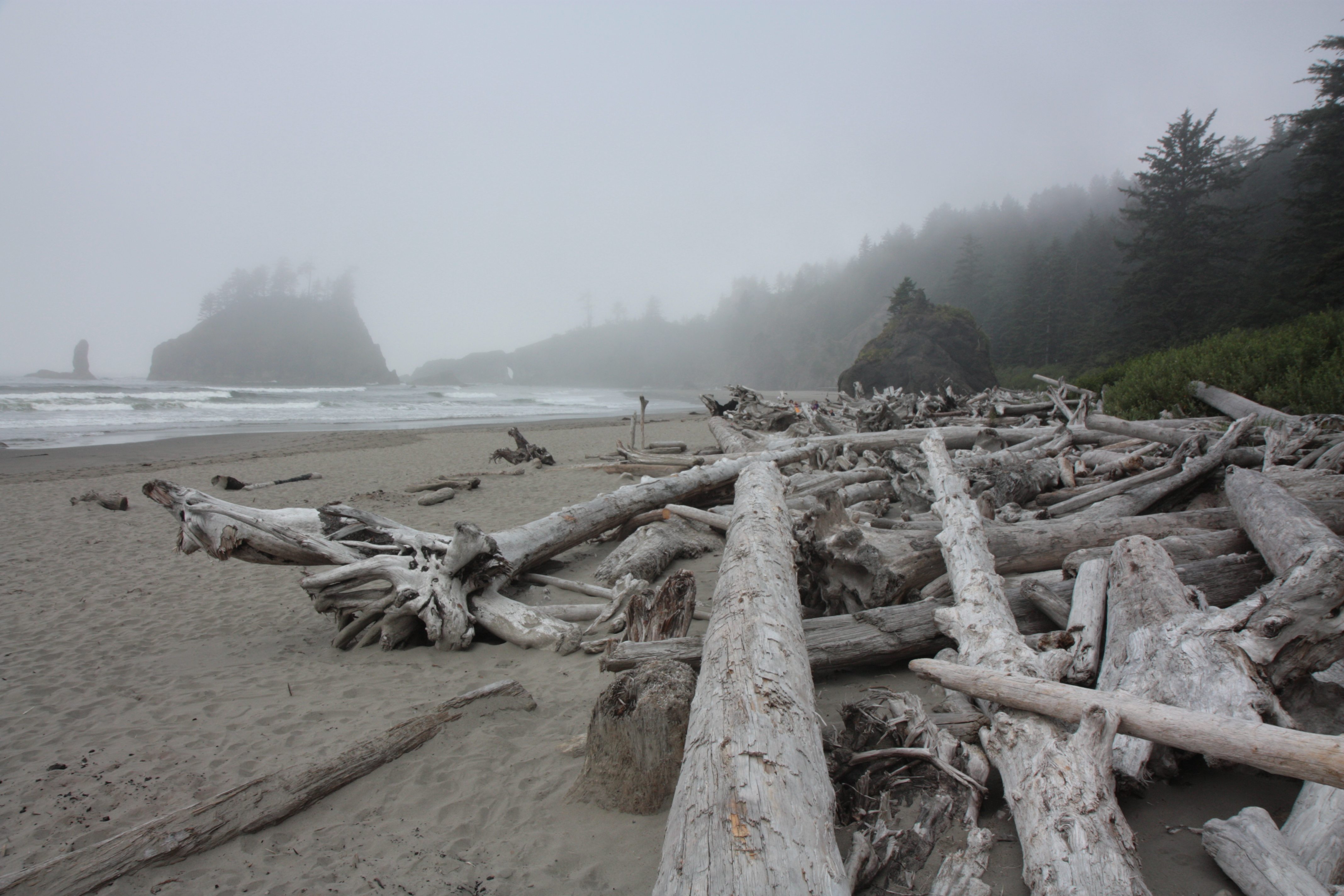 Olympic NP